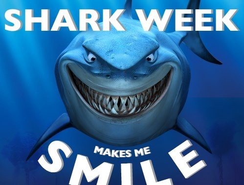 It’s Almost Shark Week!!! How Will You Celebrate?! 